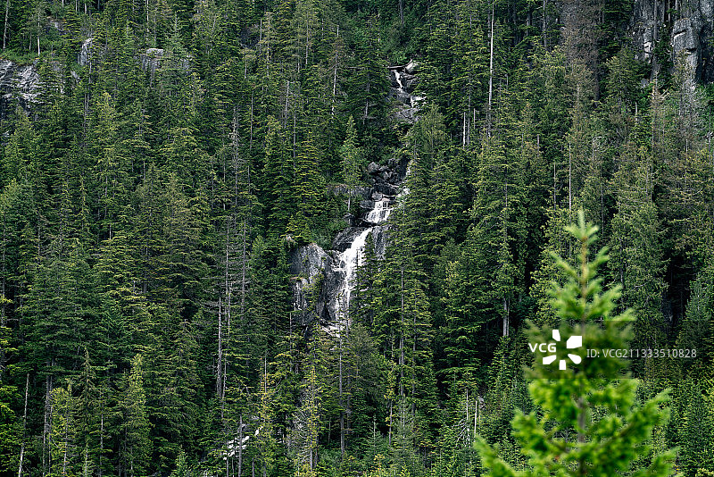 山间瀑布从森林流下图片素材