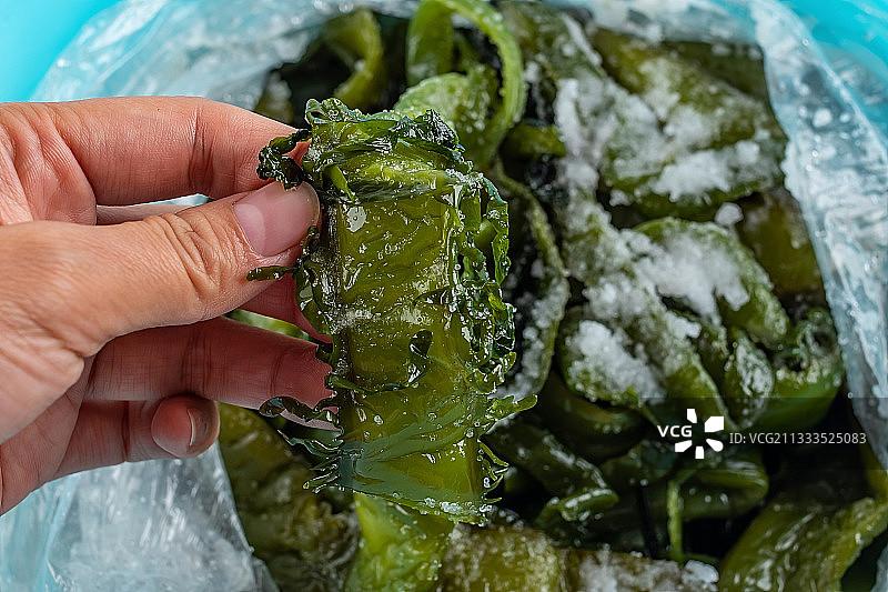 白背景上一碟新鲜绿色盐渍海白菜梗图片素材