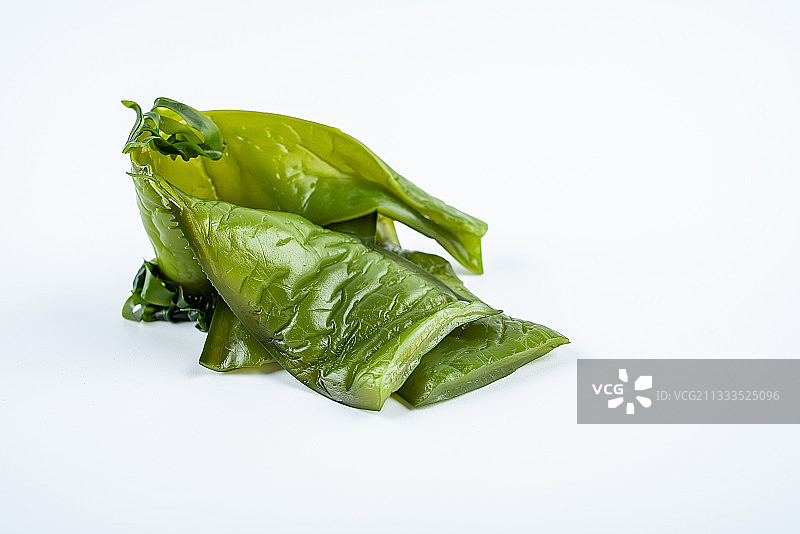 白背景上一条新鲜绿色海白菜梗图片素材