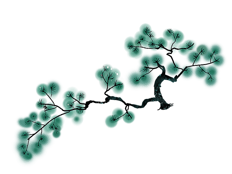 中国风格的松树图片素材