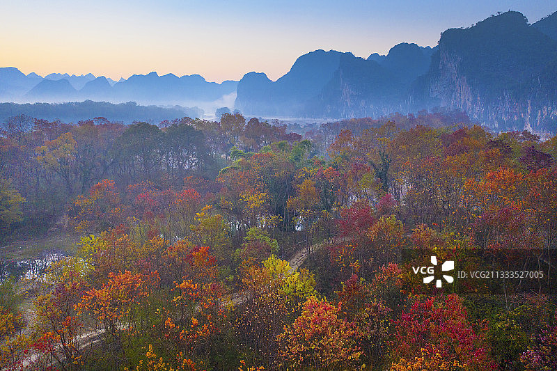 漓江乌桕滩图片素材