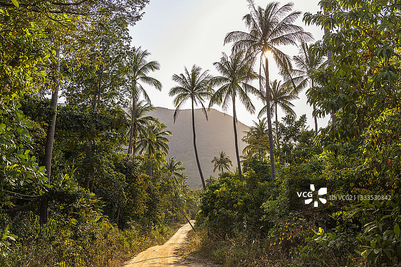 通往泰国帕岸岛东北部瓶子海滩的陡峭小路图片素材