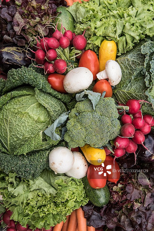 胡萝卜、卷心菜、萝卜、西红柿、生菜混合蔬菜图片素材