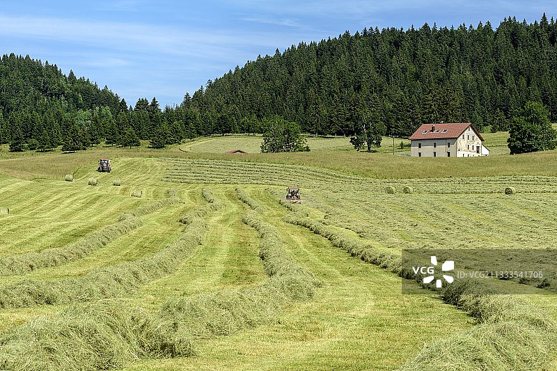 法国拉穆拉汝拉地区的干草收割图片素材