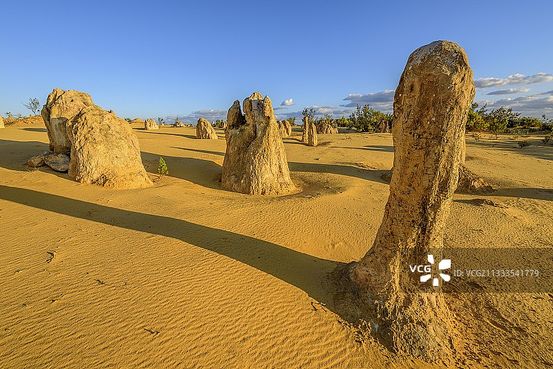 西澳大利亚南邦国家公园石灰岩柱图片素材