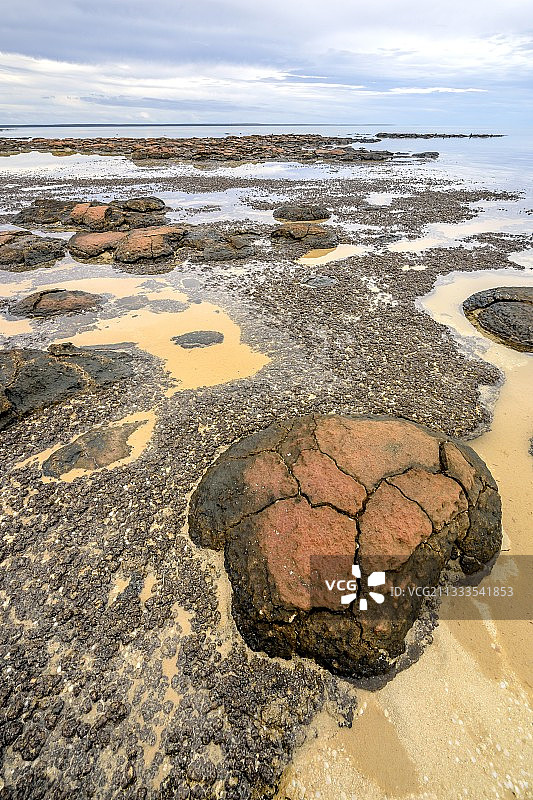 低潮时的叠层石 - 哈梅林池 - 鲨鱼湾 - 澳大利亚西部图片素材