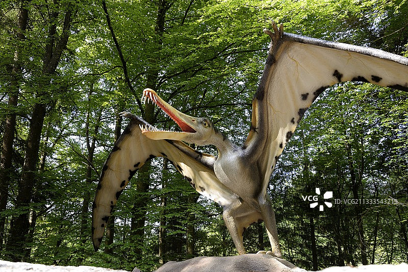 Cearadactylus，史前公园，恐龙动物园，Charbonnieres -les-Sapins，弗朗什-孔泰，法国图片素材