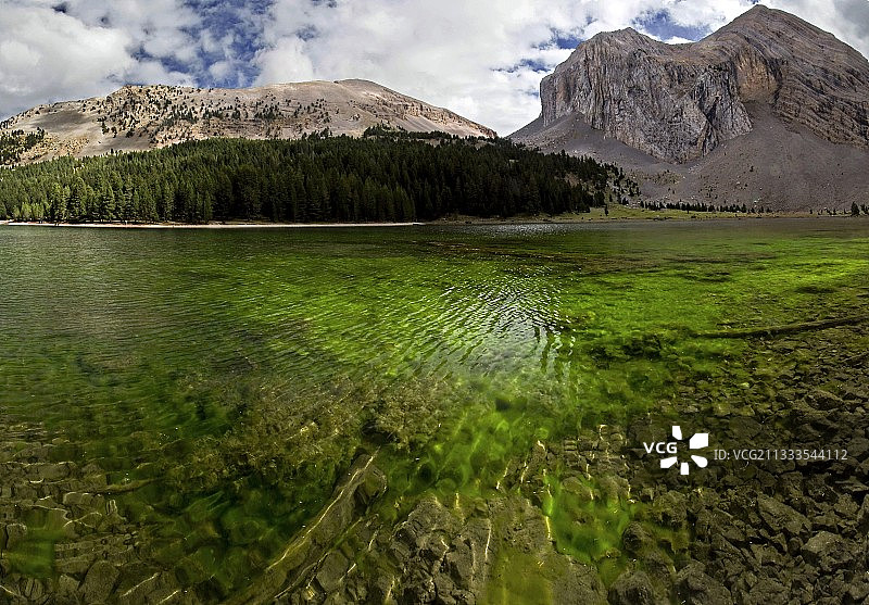 西班牙阿拉贡韦斯卡比利牛斯山脉的莫拉湖和偃松林图片素材
