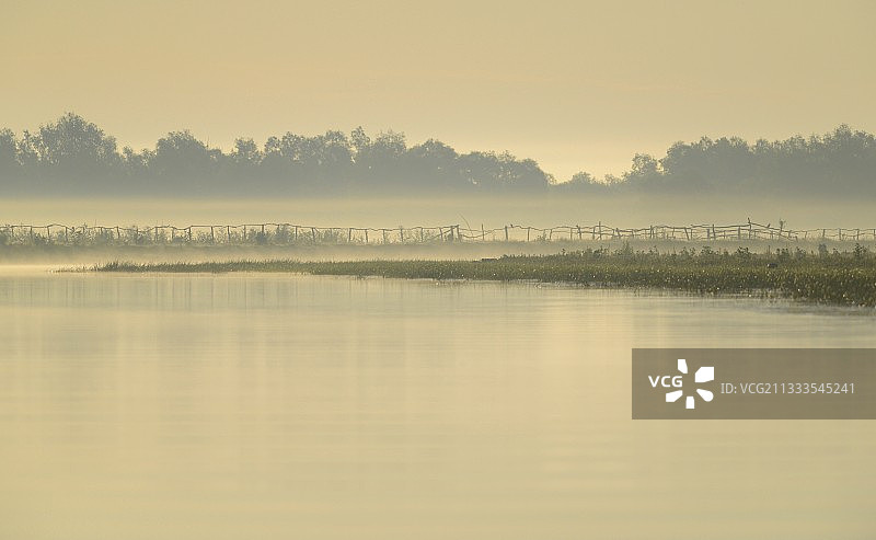 多瑙河三角洲的早晨氛围，罗马尼亚多瑙河三角洲图片素材