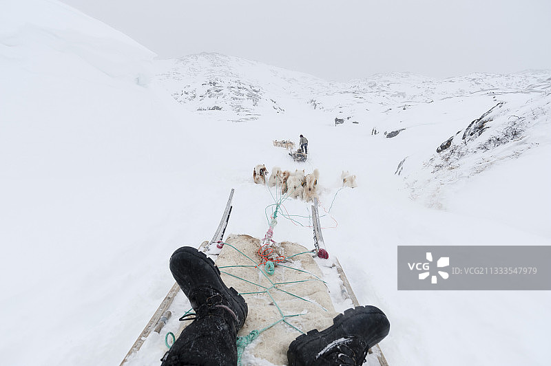 狗拉雪橇，伊卢利萨特，迪斯科湾，格陵兰图片素材