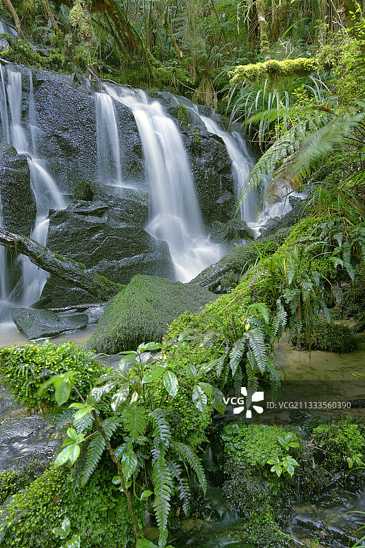新西兰南岛卡特林斯普拉考努伊瀑布图片素材