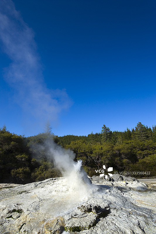 怀奥塔普地热区诺克斯夫人间歇泉，新西兰北岛陶波火山带图片素材