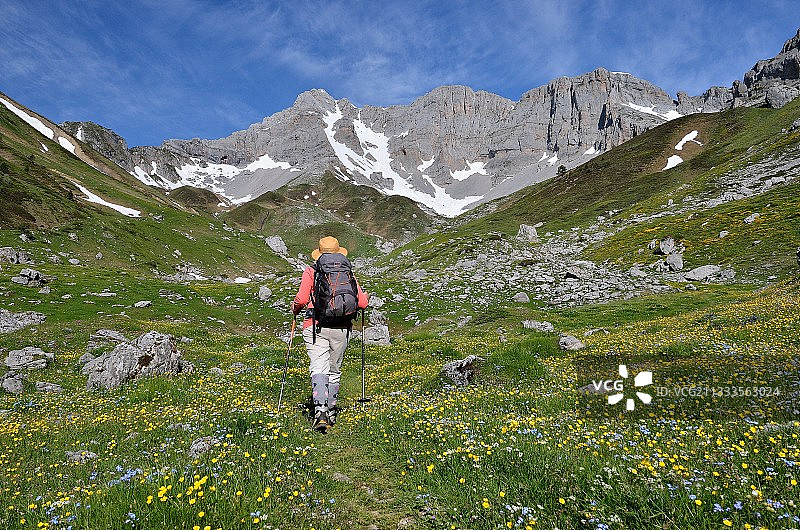 春季前往阿尊山口的徒步旅行，法国比利牛斯山脉阿斯普山谷图片素材