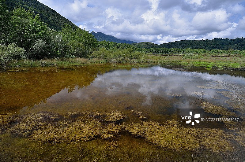 稀有的比利牛斯圆形泥炭沼泽：佩德斯塔雷斯泥炭沼泽。如今被标记为敏感自然区，位于法国比利牛斯山脉奥索山谷图片素材