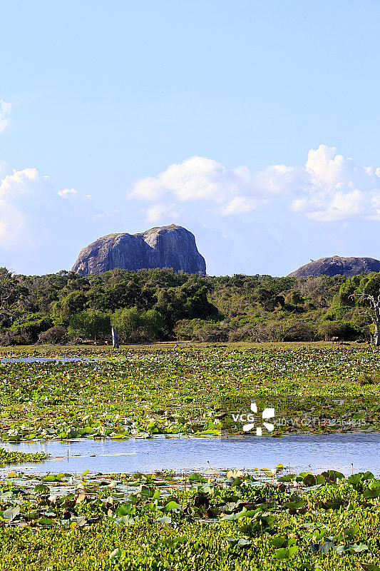 亚拉国家公园风光，斯里兰卡图片素材