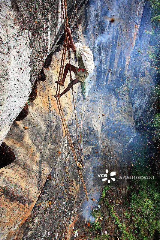 悬崖上的蜂蜜：印度泰米尔纳德邦的采蜜人图片素材