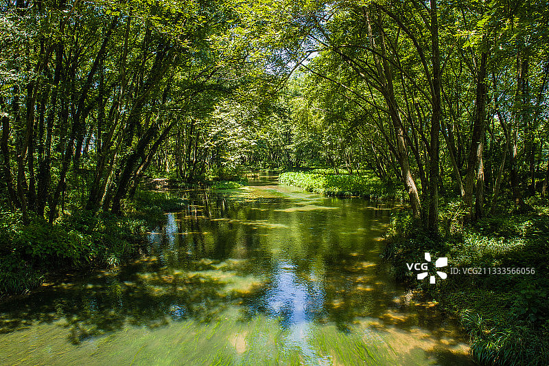 清凉小溪图片素材