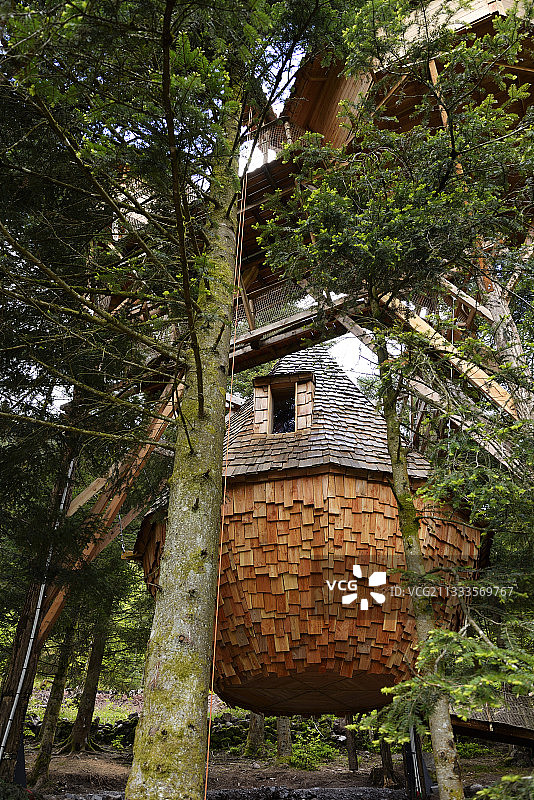 树屋，户外活动，法国孚日省拉布雷斯图片素材