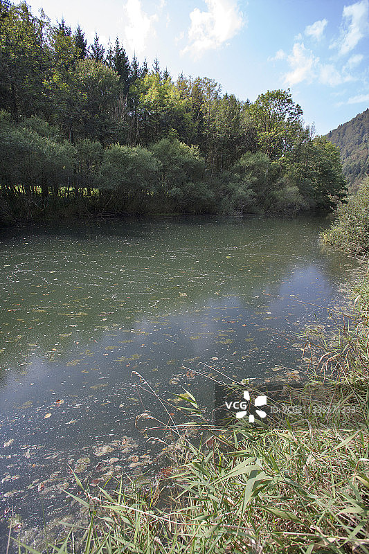 法国杜省Dessoubre河的富营养化农业污染图片素材