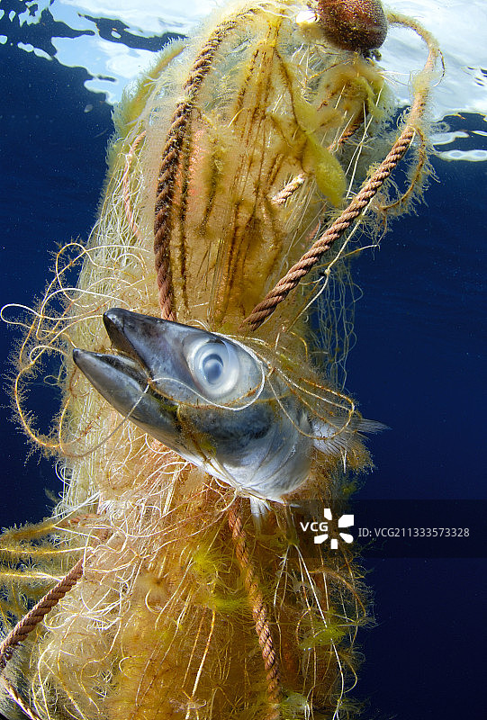海上垃圾揭露照片：无论地点，后果不堪设想图片素材
