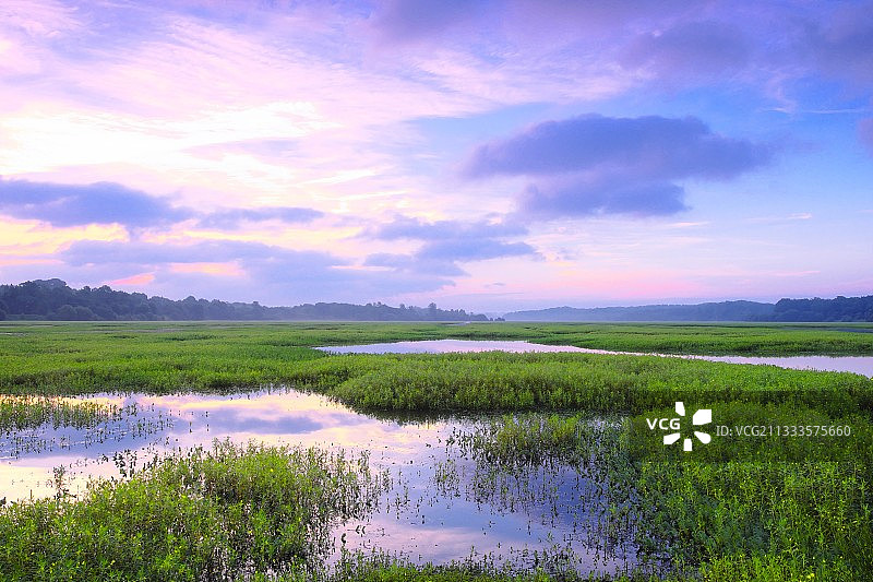 法国奥克斯沼泽的日出图片素材