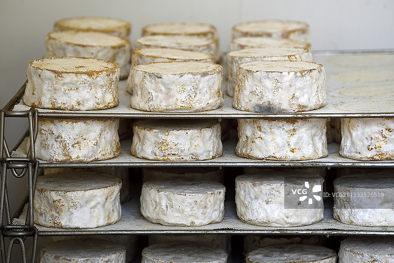 法国阿尔萨斯山羊奶酪图片素材