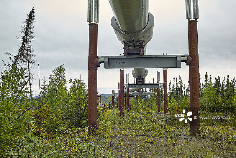 道尔顿公路：从费尔班克斯到普拉德霍湾，跨阿拉斯加管道系统，秋季，管道位于布鲁克斯山脉和阿提根山口以南，（244英里），美国阿拉斯加州图片素材