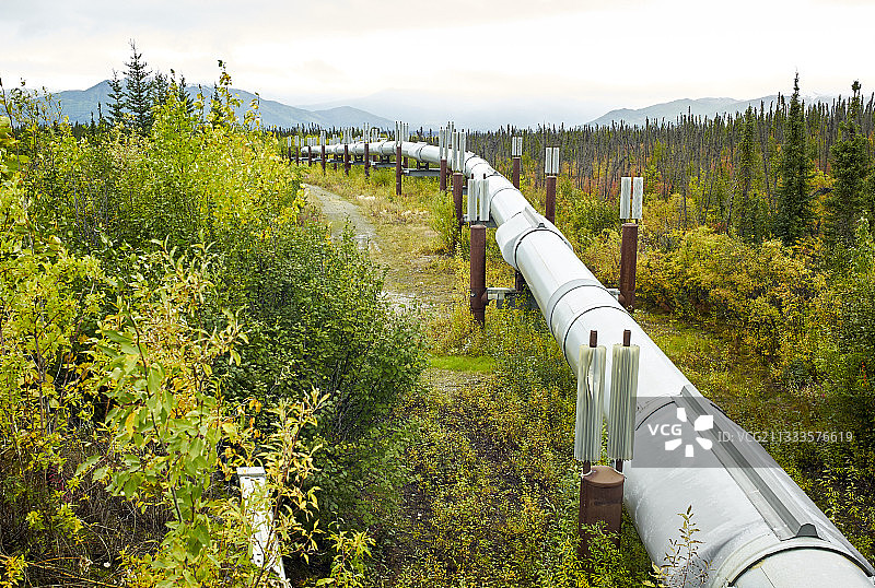 道尔顿公路：从费尔班克斯到普拉德霍湾，跨阿拉斯加管道系统，秋季布鲁克斯山脉南段的管道，阿拉斯加，美国图片素材