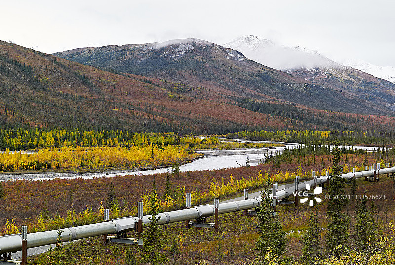 道尔顿公路：从费尔班克斯到普拉德霍湾，跨阿拉斯加管道系统，秋季布鲁克斯山脉南段的管道，阿拉斯加，美国图片素材