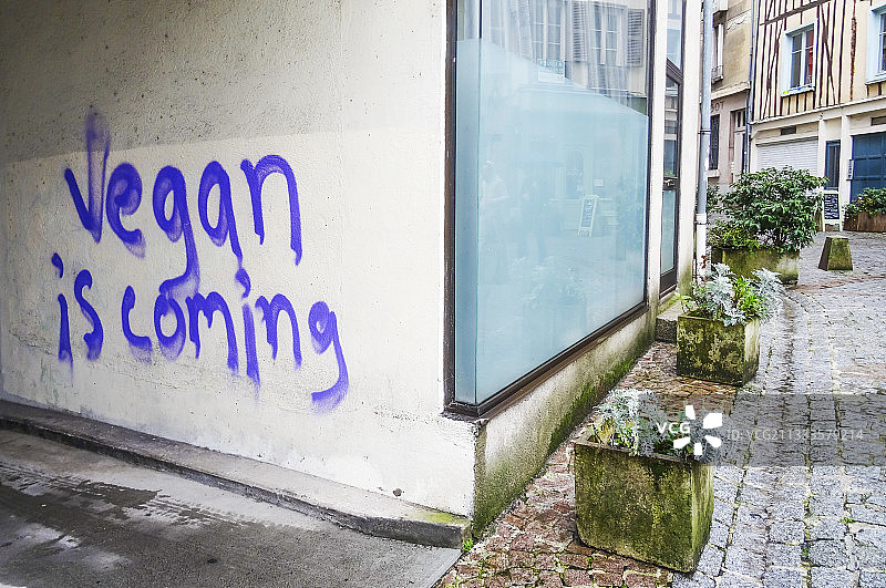 法国利摩日市中心通道内的“素食主义者”涂鸦图片素材