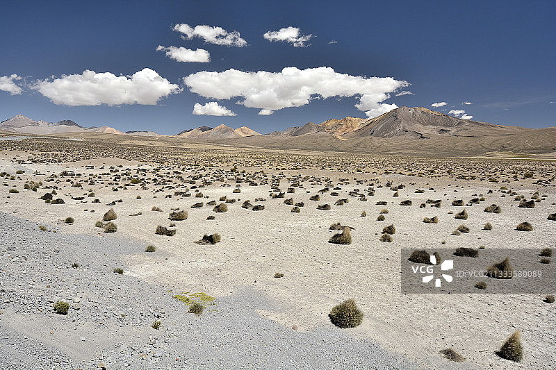 劳卡国家公园附近的拉拉姆卡瓦山，位于智利阿里卡和帕里纳科塔图片素材