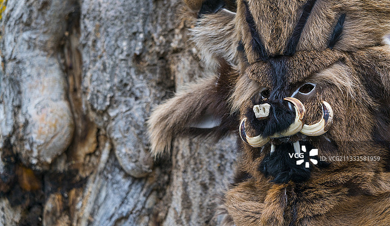 西班牙坎塔布里亚利亚瓦纳山谷皮亚斯卡安特鲁伊多狂欢节图片素材