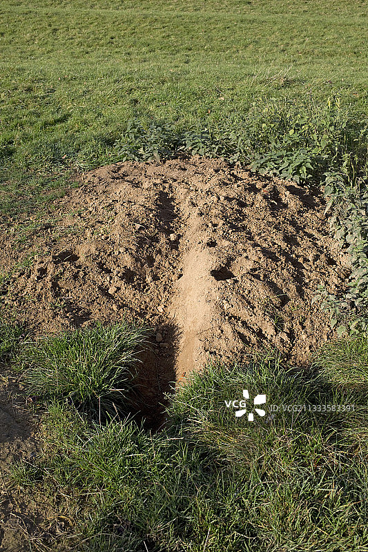 英国科茨沃尔德獾洞外新挖土壤图片素材
