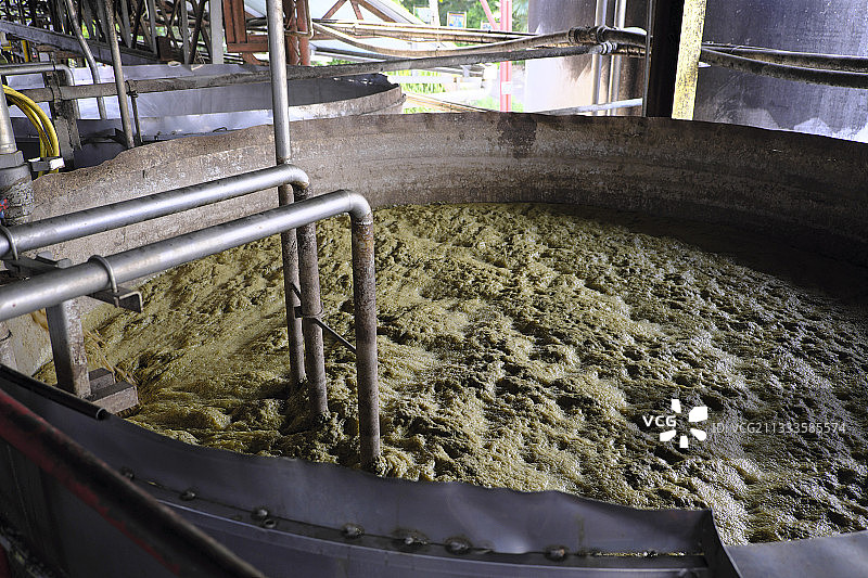 朗姆酒发酵阶段：加热甘蔗汁，将水与酒精和芳香成分分离图片素材