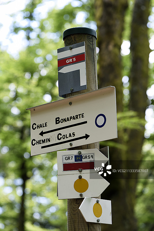 法国阿尔萨斯气球附近森林GR 7和GR 5小径指示牌图片素材