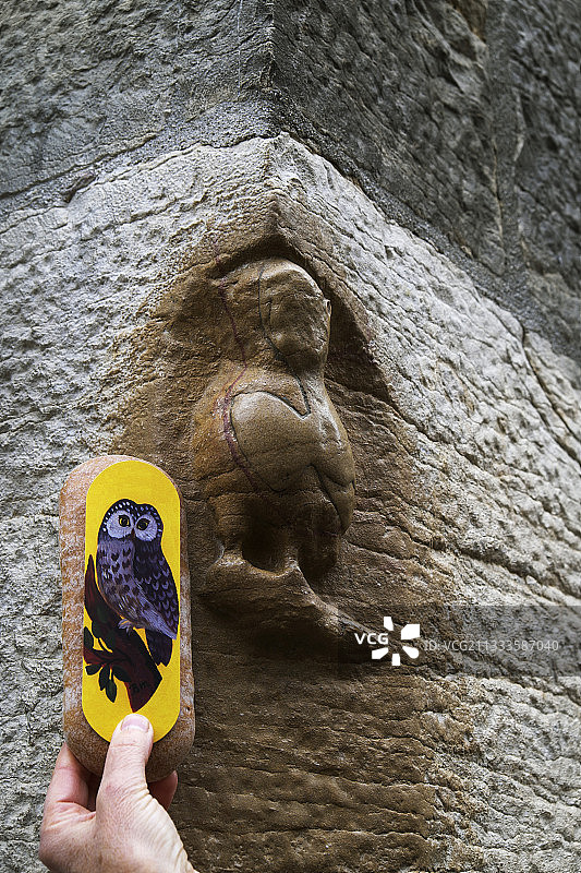 第戎的姜饼猫头鹰和雕刻猫头鹰，法国科多尔省联合国教科文组织世界遗产图片素材