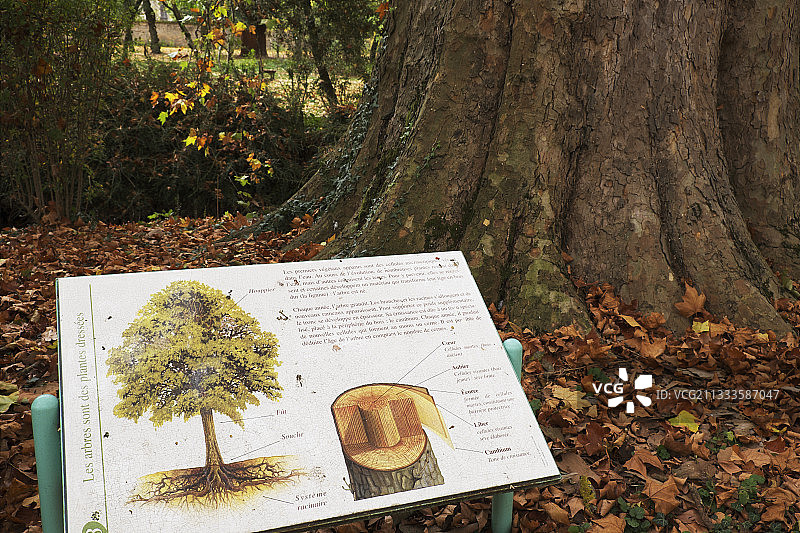 法国第戎植物园内的标牌图片素材