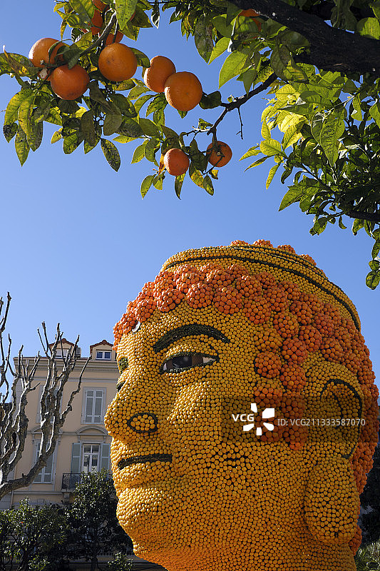 芒通柠檬节：比奥韦斯花园的柑橘主题，2018宝莱坞，法国滨海阿尔卑斯图片素材