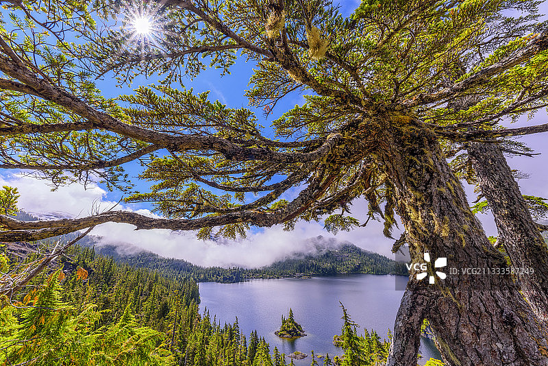斯特拉斯科纳省立公园的贝德韦尔湖：加拿大温哥华岛中部受保护的山区，拥有丰富的湖泊和茂密的森林图片素材