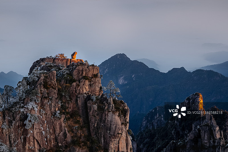 猴子观海图片素材