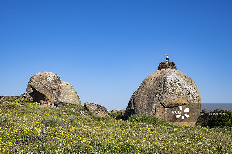 西班牙埃斯特雷马杜拉Los Barruecos的白色鹳巢花岗岩地貌图片素材