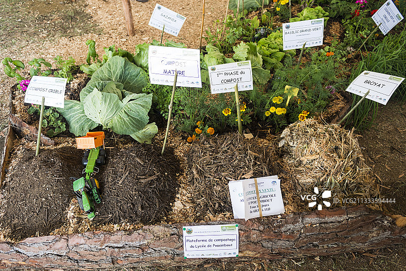 堆肥阶段演变演示，布拉伊农业博览会，新喀里多尼亚图片素材