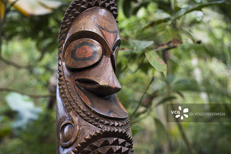 瓦努阿图埃法特岛花园里的雕刻木图片素材