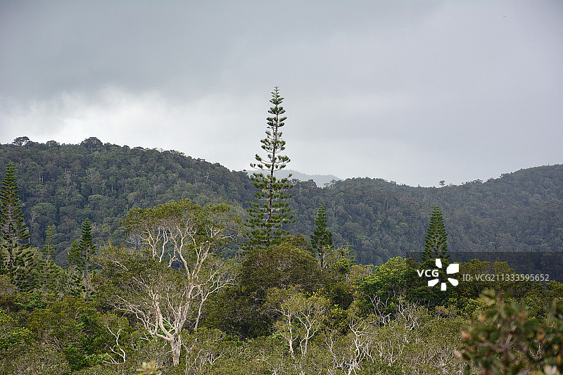 法里诺格兰德富热尔公园，新喀里多尼亚图片素材