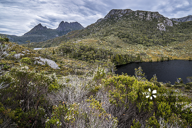 摇篮山国家公园-圣克莱尔湖畔的小湖泊（澳大利亚塔斯马尼亚州）图片素材