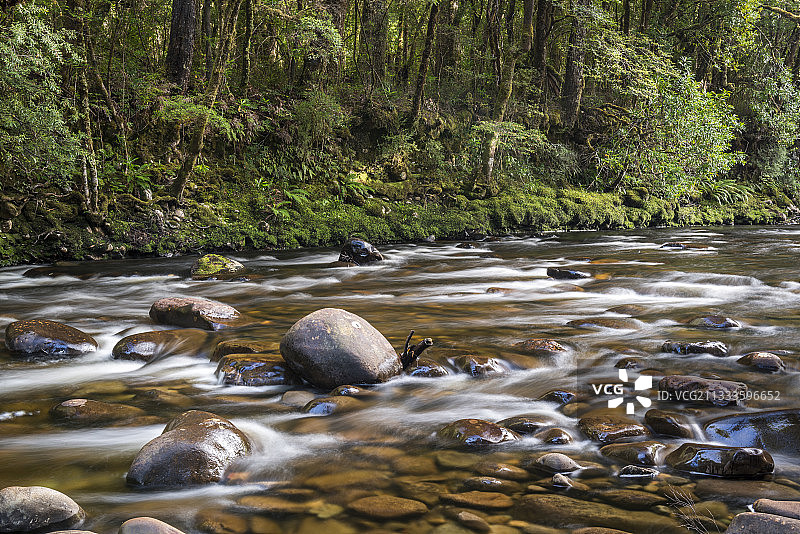 塔斯马尼亚州富兰克林国家公园-戈登野河的富兰克林河图片素材