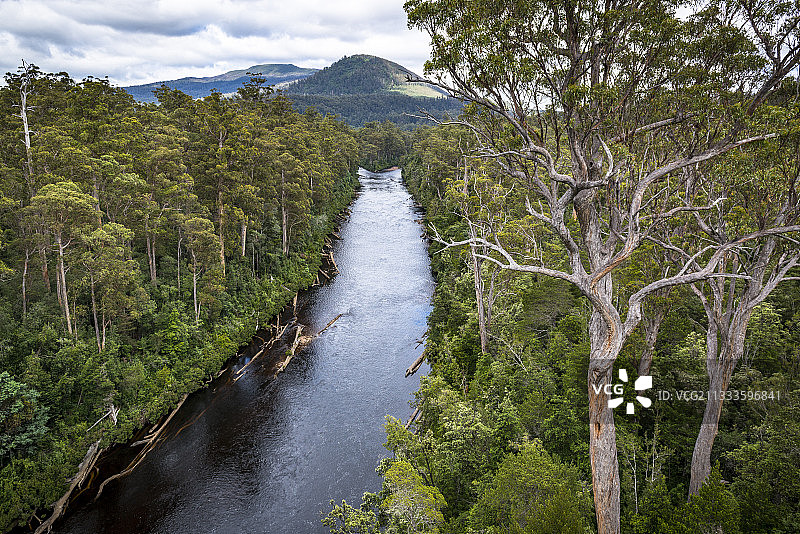 澳大利亚塔斯马尼亚州塔胡恩森林保护区塔胡恩空中走道眺望休昂河图片素材
