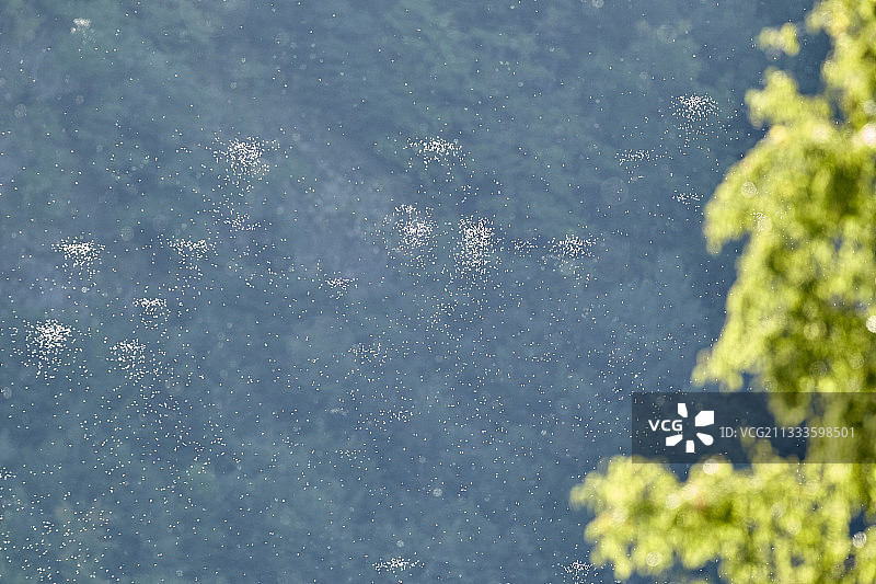 夏末的蜉蝣群，Mars山谷，康塔尔山脉，奥弗涅火山地区自然公园图片素材