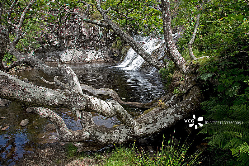 英国苏格兰马尔岛的Eas Fors瀑布图片素材