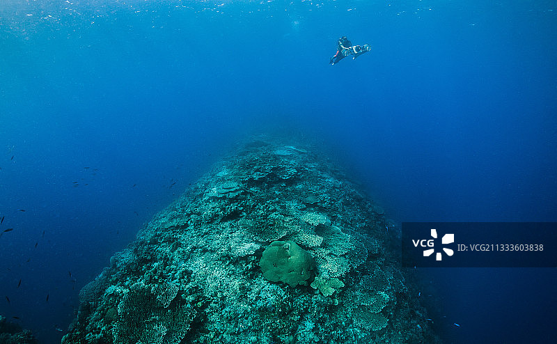 塔拉太平洋考察：巴布亚新几内亚礁石“指状”结构图片素材